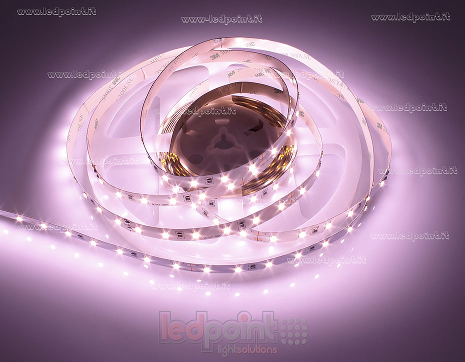 Tira de led 2835 24V IP20 - 60led/m F52-FFOO-60812