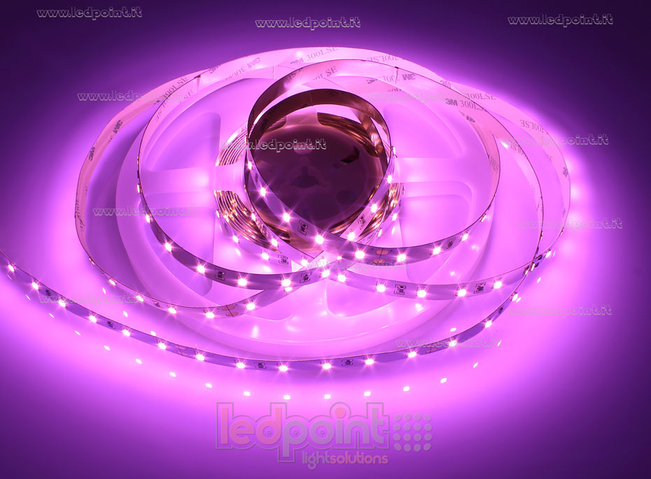 Tira de led 2835 24V IP20 - 60led/m F52-PNK-60812