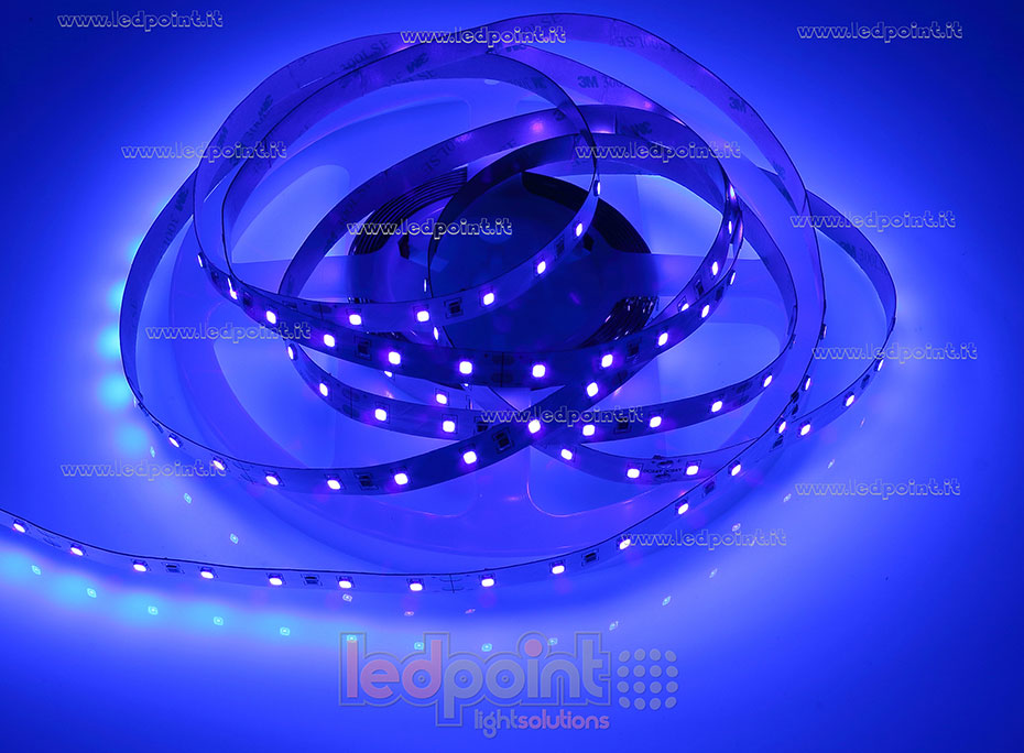 Tira de led 2835 24V IP20 395-400nm 60led/m F52-PUR-060812