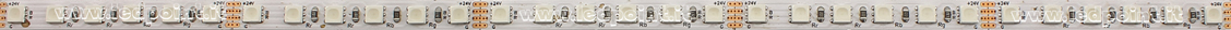 Tira de led 3838 24V IP20 RGB 120led/m F52-RGB-120G12-W6