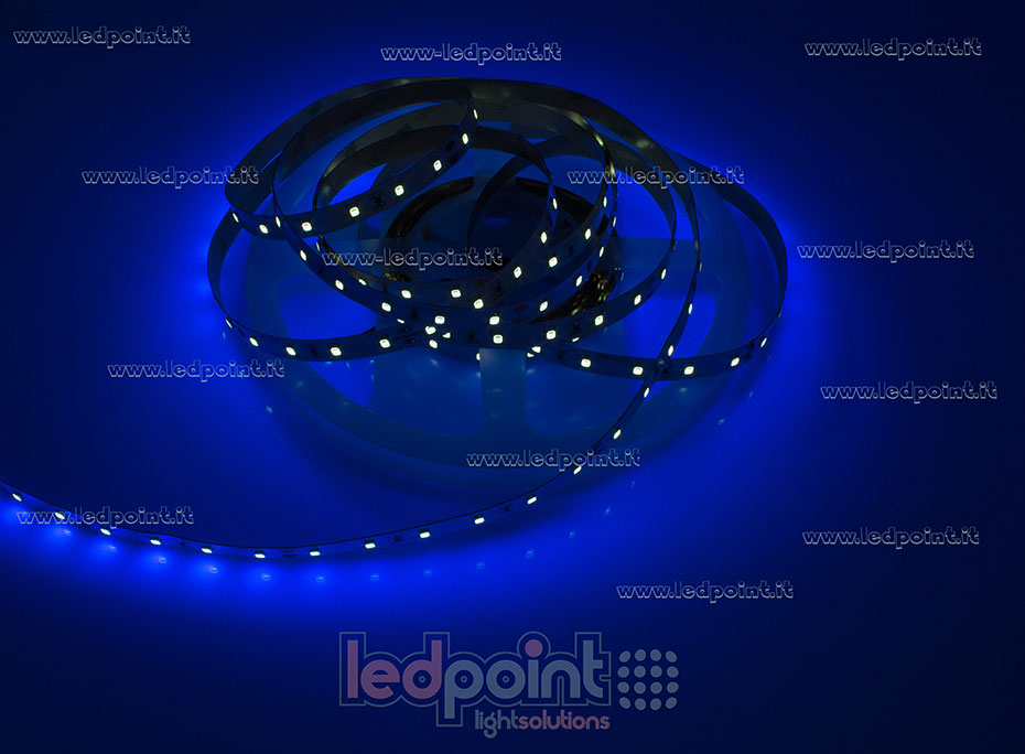 Tira de led 2835 24V IP20 365nm 60led/m F52-UV365-060812