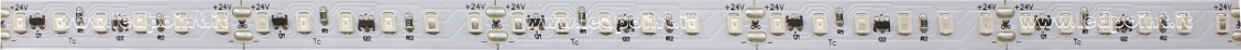 Tira de led 2835 24V IP20 365nm 120led/m F52-UV365-120812A