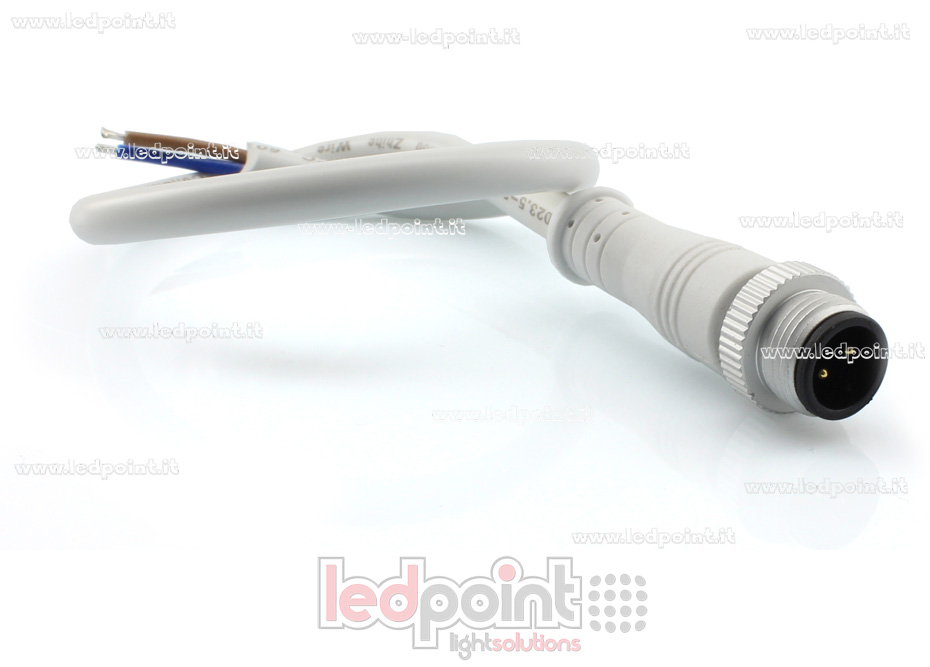 Conector macho 2pin IP67 0,3m NEO11-CM2-WH