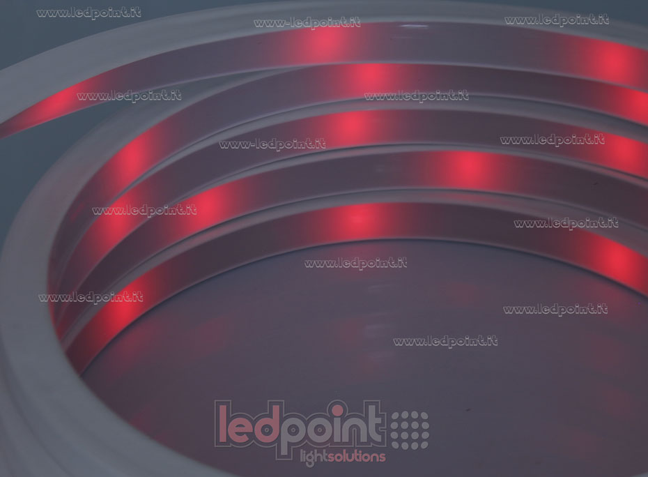 Led Neon Flex 3528 24V IP67 3000K 120led/m NEO17-300-A0312-10S